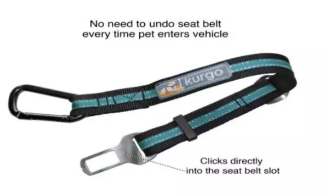 Direct To Seat Belt Tether - Kia (00F75-AM300)