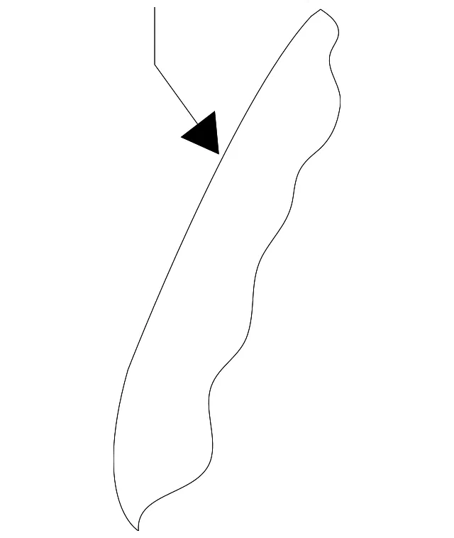 Seat Back Pad - Kia (88450-B0010)