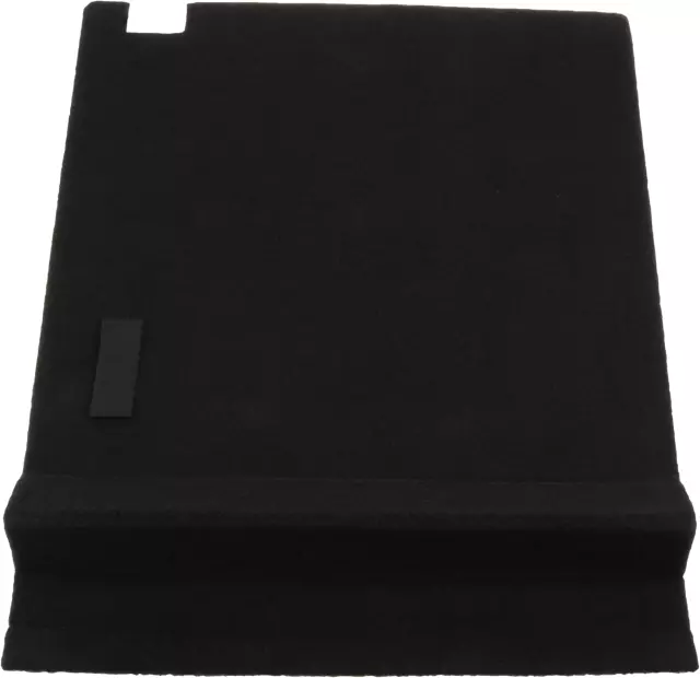 Back Panel Assembly, Carpet - Nissan (89655-3JA6A)
